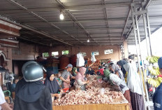 Berburu Ayam Potong, Pedagang Laris Manis