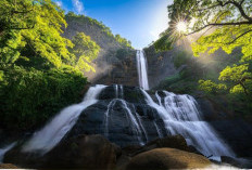 Curug Cikanteh, Pesona Alam Tersembunyi di Ujung Barat Provinsi Jawa Barat