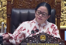 Tok!, DPR RI Sahkan Revisi KUHAP sebagai Undang-Undang Baru