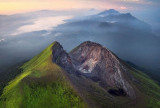 Dikelilingi Hutan Tropis, Gunung Gamkonoro Menawarkan Pemandangan Alam Yang Memukau