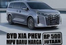 BYD Tambah Jajaran Produknya, Tersedia Empat Varian