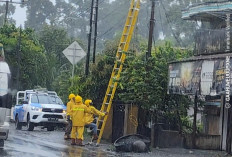 PLN ULP Lembayung Berjibaku Pulihkan Kondisi kelistrikan pelanggan
