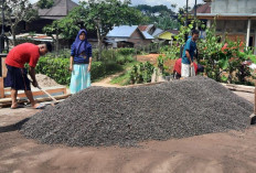 Petani Kopi Tunda Penjualan 