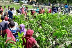 Cempaka Wangi Ingin Jadi Sentra Buah-buahan