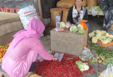    Harga Cabe Kembali Naik