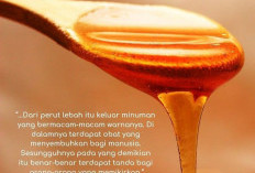 Selain Untuk Obat, Ternyata Madu Juga Dapat Menurunkan Berat Badan