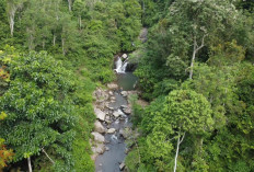 Air Terjun Batu Runceng Miliki Keunikan