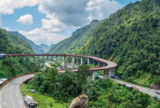 Inilah Kelok 9 Kabupaten 50 Kota, Jalan Berkelok Yang Membentang di Sepanjang Lereng Bukit