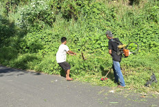 Lintang Kanan Gelar Tebas Bayang Sambut HUT Empat Lawang ke-19