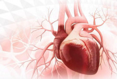 Waspada, 6 Tanda Jantung Kamu Tidak Sehat