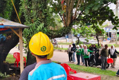 Sinergi Pemda Merangin dan PLN Bersihkan Kota Bangko, Jaga Lingkungan Sekaligus Keandalan Listrik