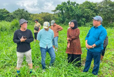 Bupati Lahat Bursah Zarnubi Dorong Danau Batu Tanjung Raya Jadi Wisata Alam Terpadu 