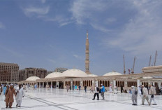 Alhamdulillah, 30.580 Jemaah Haji Telah Tiba di Madinah