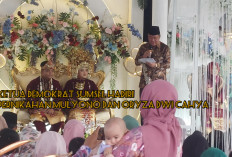 Ketua Demokrat Sumsel Hadiri Pernikahan Mulyono dan Oryza Dwi Cahya, Begini Katanya