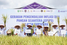 Rakor TPID Sumsel Perkuat Strategi Pengendalian Inflasi Pangan