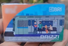 Transaksi Lebih Mudah dengan Brizzi