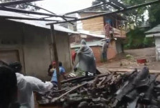 BREAKING NEWS : 302 Rumah Warga Hingga Puluhan Hektar Sawah Terdampak Banjir di Lahat