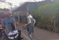 Aktifitas Manusia Silver Kian Meningkat di Lahat
