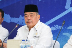 Sinergi Daerah Didorong