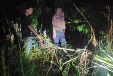 Kasus Penganiayaan Anak Bawah Umur Terjadi di Empat Lawang, Korban  Alami Luka Serius