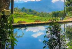 8 Rekomendasi Tempat Wisata Murah dan Bagus di Malang Jawa Timur : Jelajahi Liburan-mu Akhir Pekan Juni 2025 