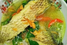 Ini Dia Resep dan Cara Membuat Sop Ikan Gurame