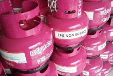 Pertamina Bantah Gas 3 Kg Pink Nonsubsidi di Lahat