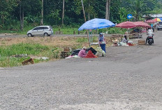 Harga Cabai Keriting Melandai Pasca Idulfitri 1447 H, Harapan Baru di Pasar Pulau Emas