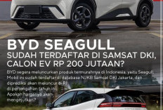 BYD Seagull Sudah Terdaftar di Database NJKB Samsat DKI Jakarta