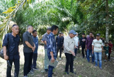 Bupati Tinjau 2 Tebat di Kikim Barat, Tegaskan Optimalisasi Pemanfaatan Sumber Daya Lokal