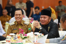Gubernur Sumsel Dorong Percepatan 5 Flyover dan Jalan Khusus Batubara di Muara Enim
