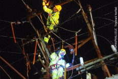 PLN ULP Lembayung Berjibaku Memulihkan Kondisi Kelistrikan Disertai Hujan Deras
