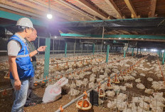 Utamakan Daya Beli Masyarakat, Pemerintah Jaga Tarif Listrik Tetap Terjangkau Sepanjang 2025