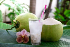 Rebusan Air Kelapa Memiliki Banyak Manfaat Bagi Tubuh, Yuk Kita Simak!