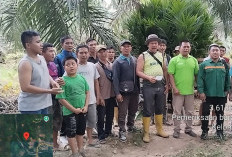 Petani Desa Jajaran Baru Terima Bantuan 1.587 Bibit Kelapa Sawit dari Pemkab Lahat