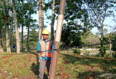 Tidak Benar! PT PLN UP3 Lahat Klarifikasi Berita Misinformasi Terkait Kabel Listrik di Kolam Retensi