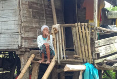 Nenek Ini Tinggal di Gubuk Bertahun-tahun! Ini Kata Kepala Desa Tanjung Agung Lahat