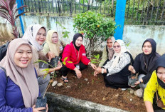 DLH Dukung Upaya Pencegahan Erosi Melalui Penanaman Pohon Mahoni