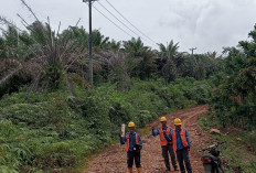 Menjemput Fajar di Pelosok Muara Dua: PLN Sinergikan Harapan, Wujudkan Mimpi Listrik Desa yang Merdeka!