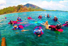 Berikut Rekomendasi Tempat Snorkeling Terbaik di Lampung!