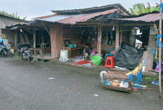 Harga Cabe di Empat Lawang Turun