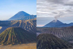 Mau Liburan ke Bromo Jawa Timur ! Berikut Ini Tips dan Persiapan yang Wajib Sebelum Berangkat di Tahun 2025