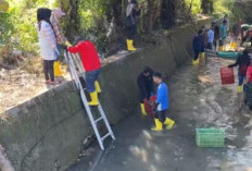 Pemkab Lahat Mulai Normalisasi Air Lahangan, Antisipasi Banjir di Kota Lahat