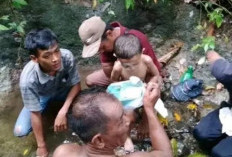 Tiga Hari Hilang di Hutan, Bocah Lima Tahun Ditemukan Selamat 