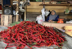 Cabai Keriting Turun, Rawit Hijau Naik Tipis di Pasar Pulau Emas