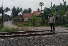 Petani Tewas Ditabrak KA Babaranjang di Perlintasan Tanpa Palang Pintu di OKU Timur