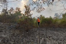 Dua Hektar Lahan Ilalang Hangus Terbakar di Empat Lawang