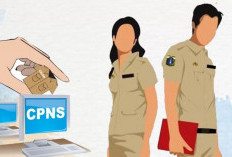 8 CPNS di Lahat Pilih Mundur Usai Lulus Optimalisasi