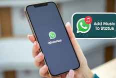 Ternyata ini Penyebab Tidak Semua Pengguna Whatsapp Menikmati Fitur Musik