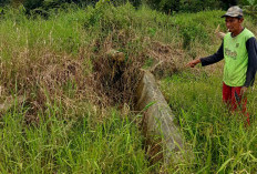 8 Bulan Irigasi Rusak, Petani di Desa Gelung Sakti Sulit Dapatkan Air